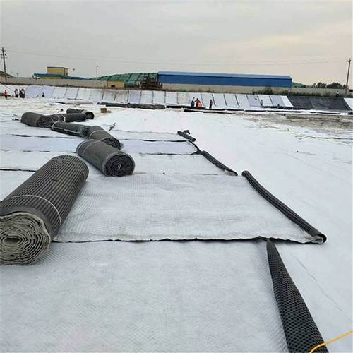 吉林长春市公路铁路反滤挡土墙施工 三维复合排水网的定制与应用